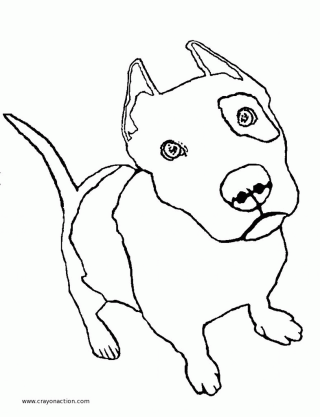 Pit Bull Puppy Coloring Page Crayon Action Coloring Pages 49 Bull 