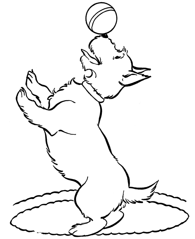 dog coloring pages page site