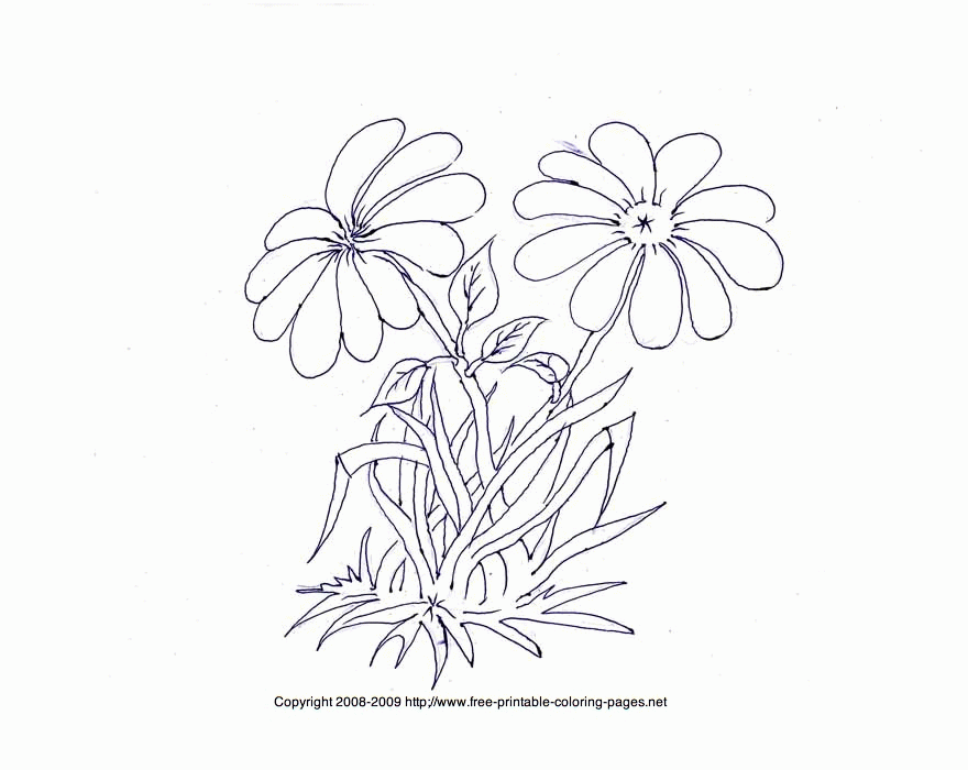 Flower Coloring Pages - Flowers Coloring Sheets