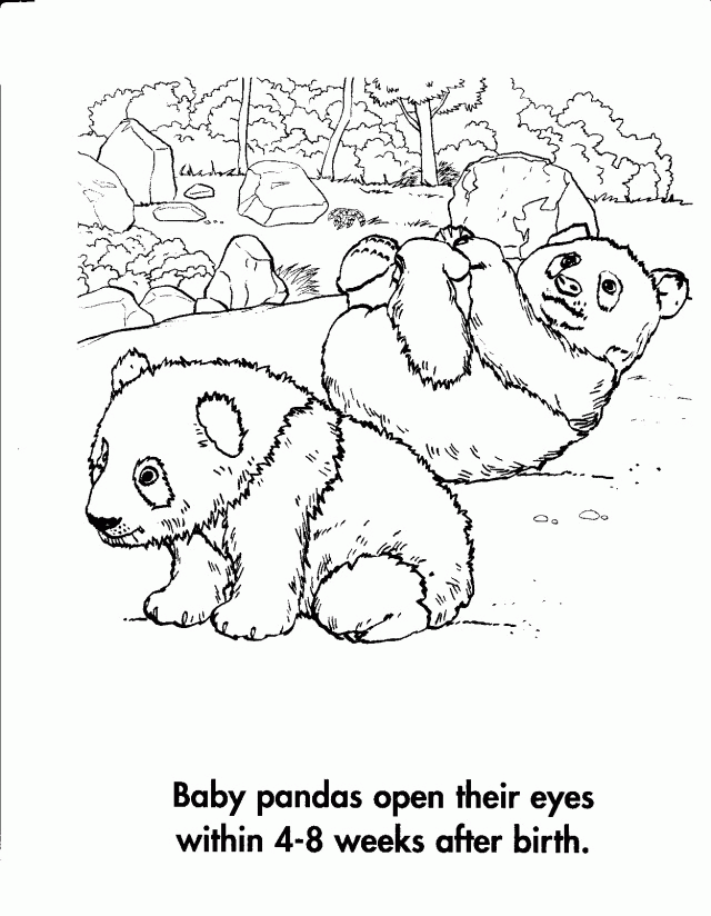 Giant Panda Coloring Page Coloring Home