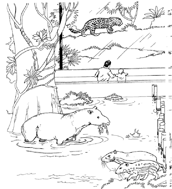 Baby Zoo Animals Coloring Pages - Coloring Home
