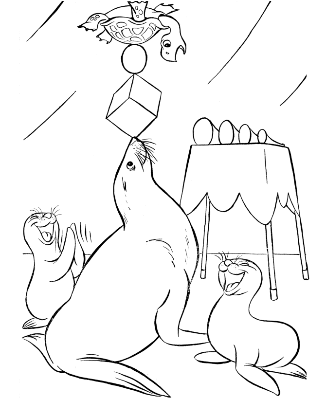Seal Coloring Pages 485 | Free Printable Coloring Pages