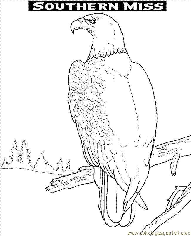 Coloring Pages Eagle2 Eagle Free Printable Page Online