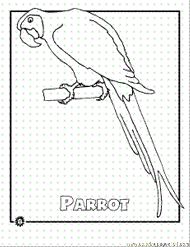 Coloring Pages Ered Rainforest Parro (Birds > Parrots) - free 