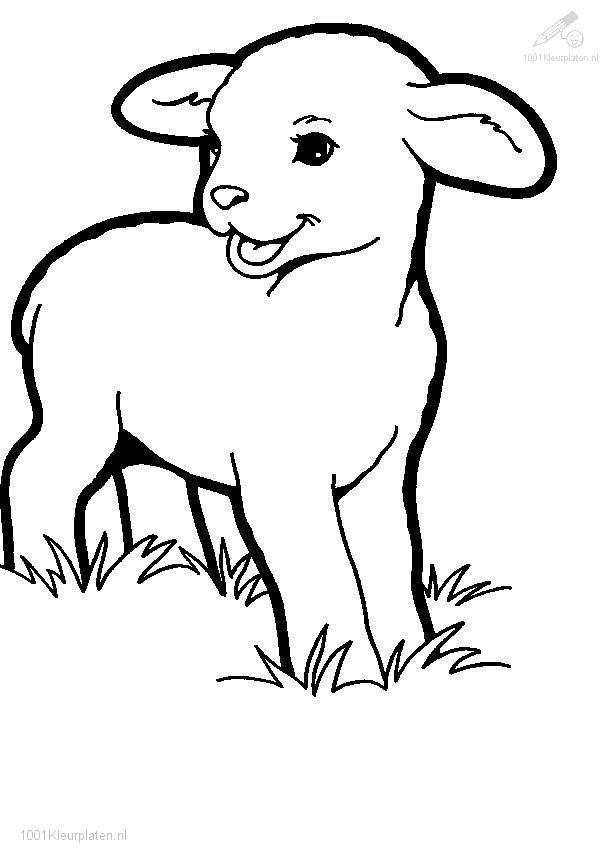 cute Lamb Coloring Pages For Kids | Great Coloring Pages
