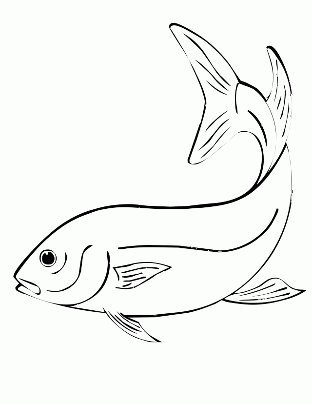 Ocean Animal Coloring Pages Color Plate Sheetprintable Id 8468 