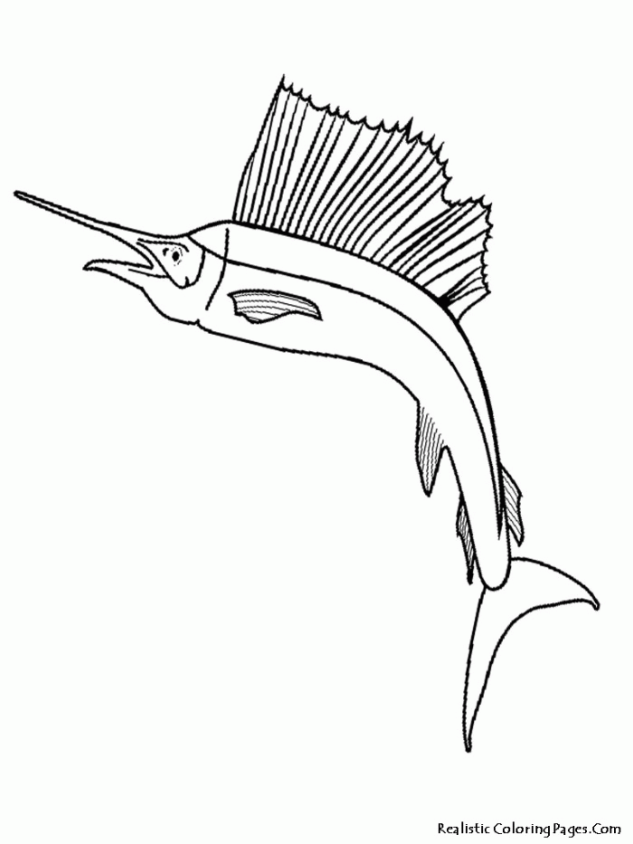 Tropical Fish Coloring Pages Kids
