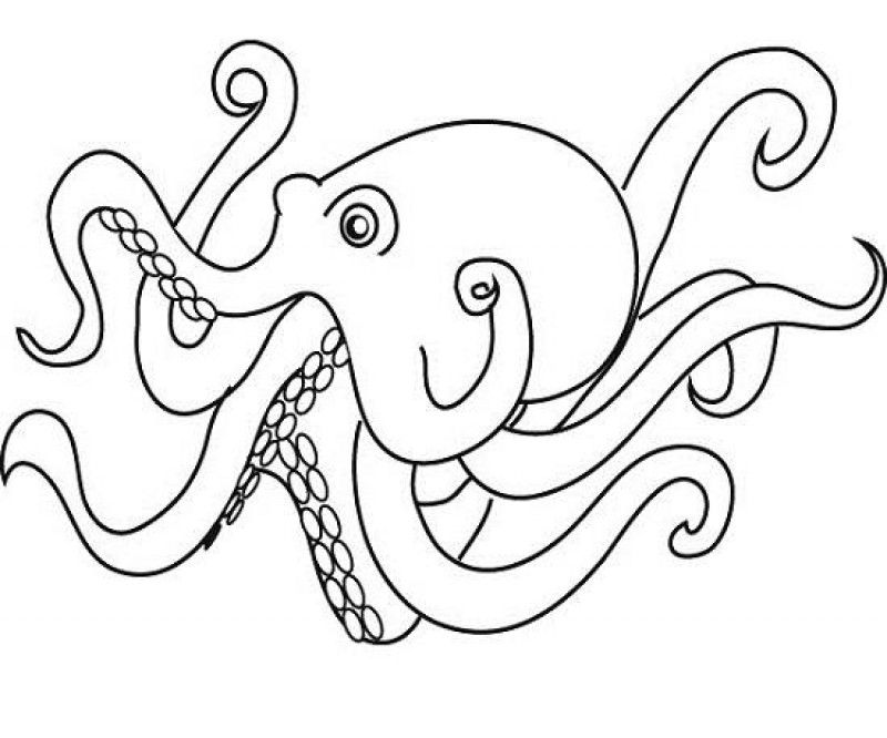 Coloring Pages Octopus For Kids - Kids Colouring Pages