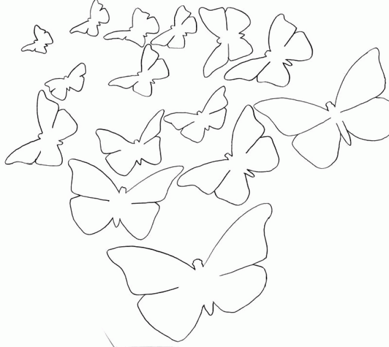 Various Flying Butterfly Coloring Page - Kids Colouring Pages