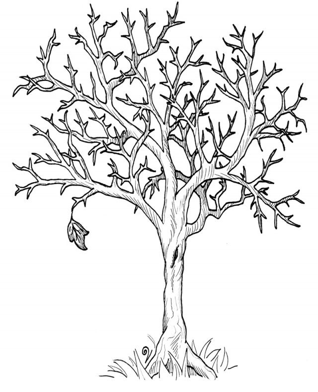 Bare Fall Tree Coloring Page - Coloring Home