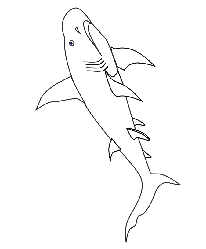 Shark Coloring Page | Shark With Lots Of Fins