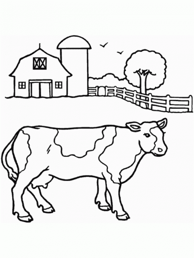 3079 Free Printable Pictures Cow Animal Coloring Page For 