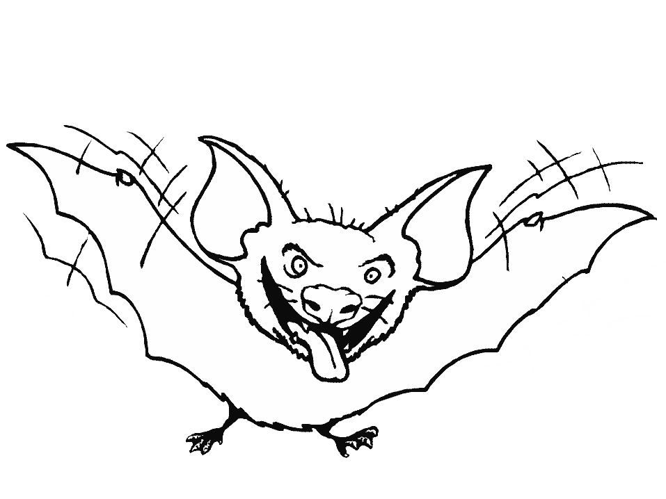 Bats 7 Animals Coloring Pages & Coloring Book