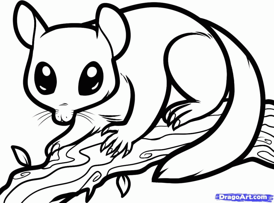 Viewing Gallery For Flower Skunk Coloring Page 150101 Nocturnal 