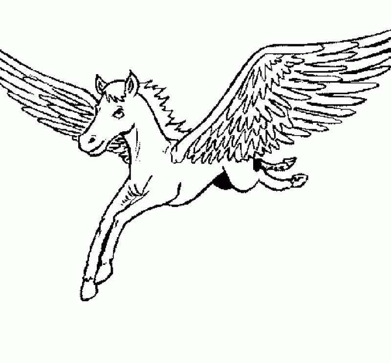 Pegasus Unicorn   Coloring Home