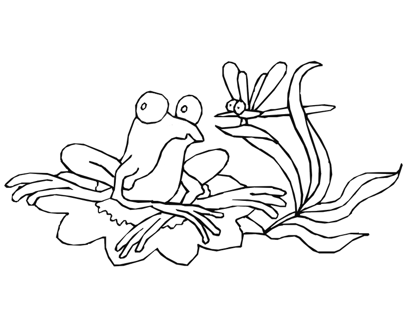 Frog Coloring Page | Frog and a Dragonfly