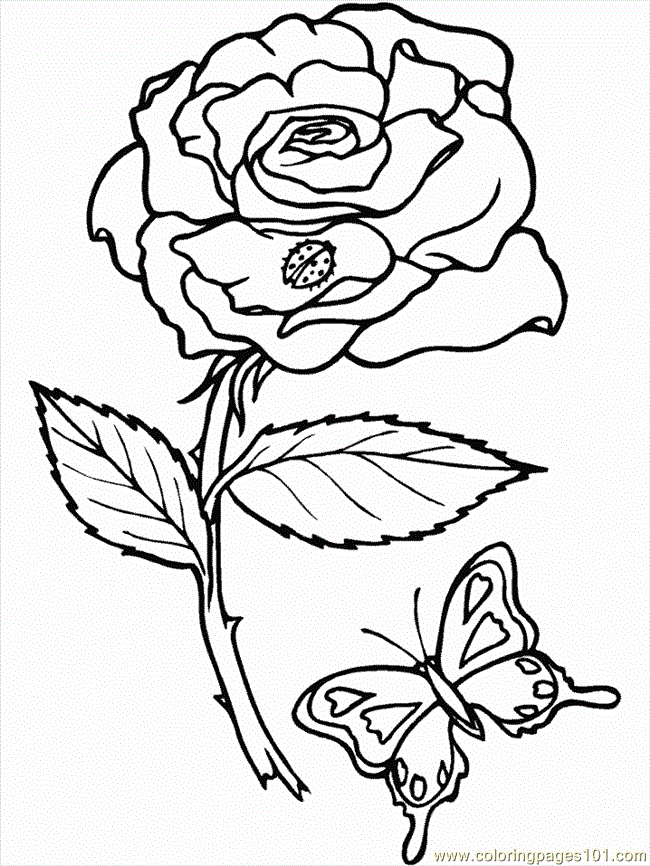 realistic flowers Colouring Pages (page 2)