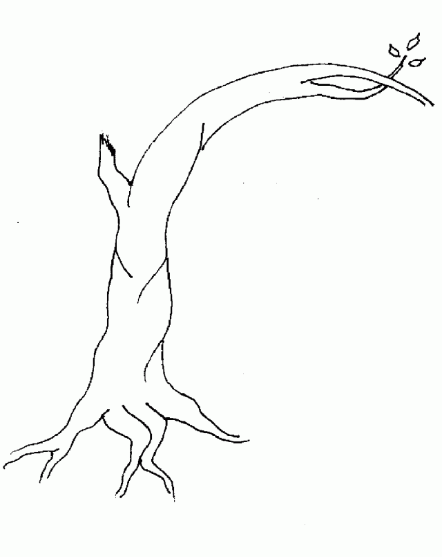 Winter Tree Coloring Page Pic Id 90995 Uncategorized Yoand 244308 