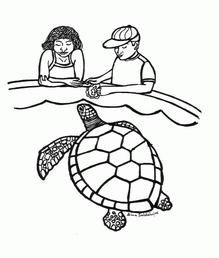 Sea Turtle Coloring Page 1 | Sea Turtle, Inc