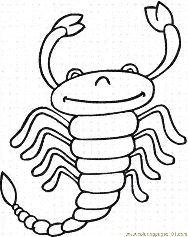 Coloring Pages Scorpion 13 (Animals > Arachnids) - free printable 