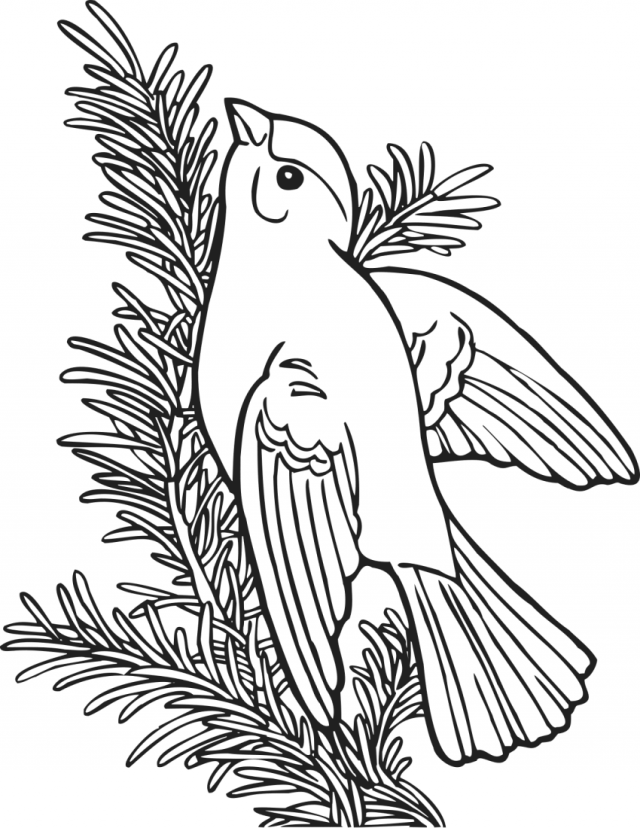 Stork Coloring Pages Birds Coloring Pages Free Printable Kids 