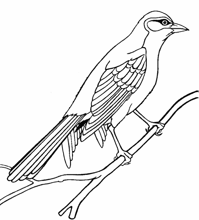 Bird-coloring-pages-6.gif