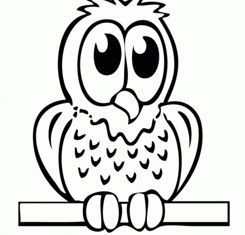 Baby Owl Coloring Pages - Kids Colouring Pages