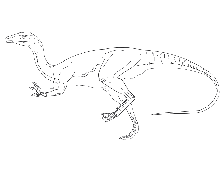 Gallimimus Coloring Pages