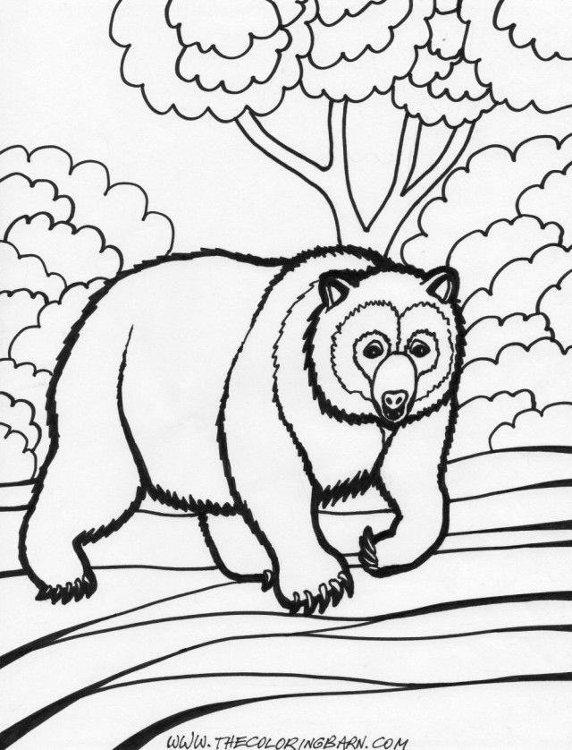 Rainforest Animals Coloring Pages Animal Printable Coloring Pages 