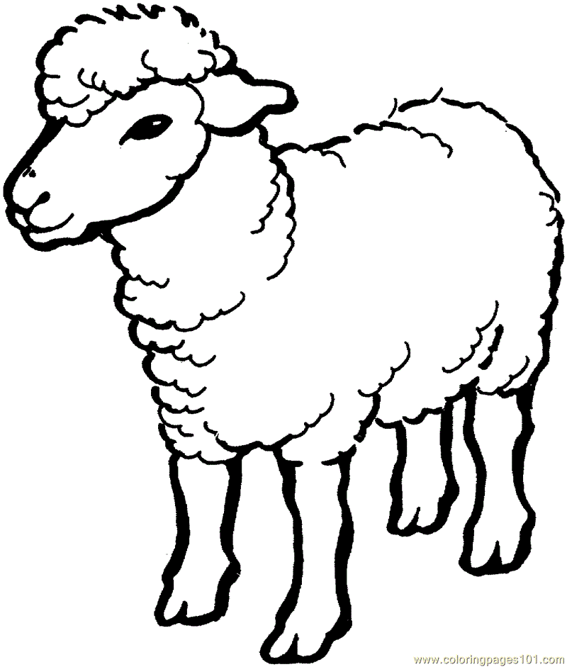 he green sheep Colouring Pages