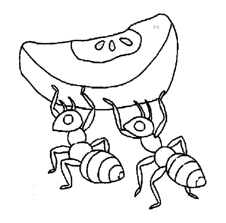 ant coloring pages for preschoolers
