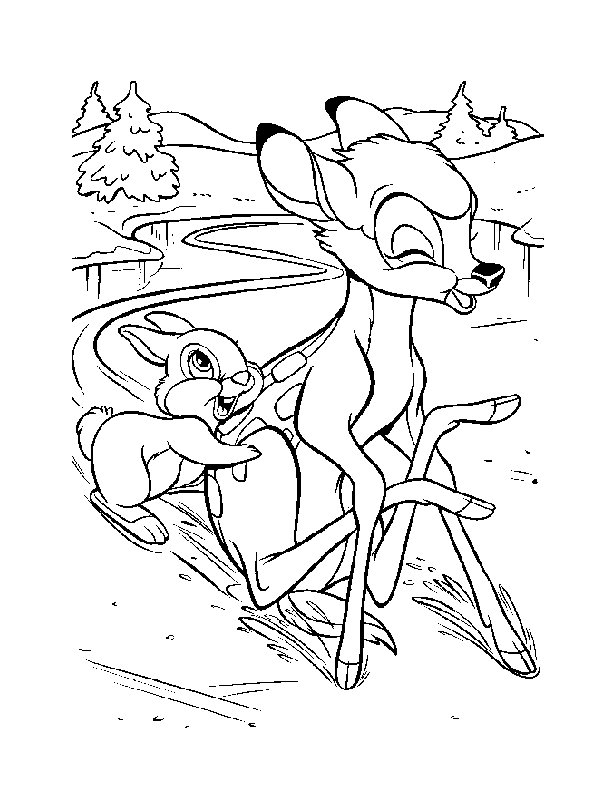 animal habitat Colouring Pages
