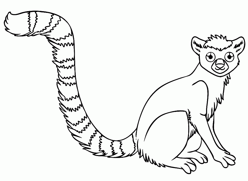 ring-tailed lemur Colouring Pages