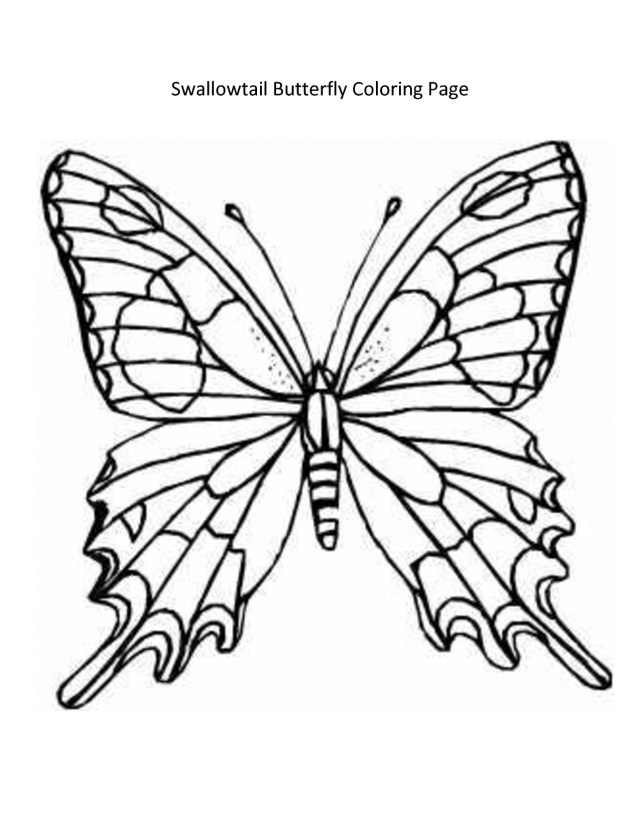 Swallowtail Butterfly Coloring Page 146191 Monarch Butterfly - Coloring