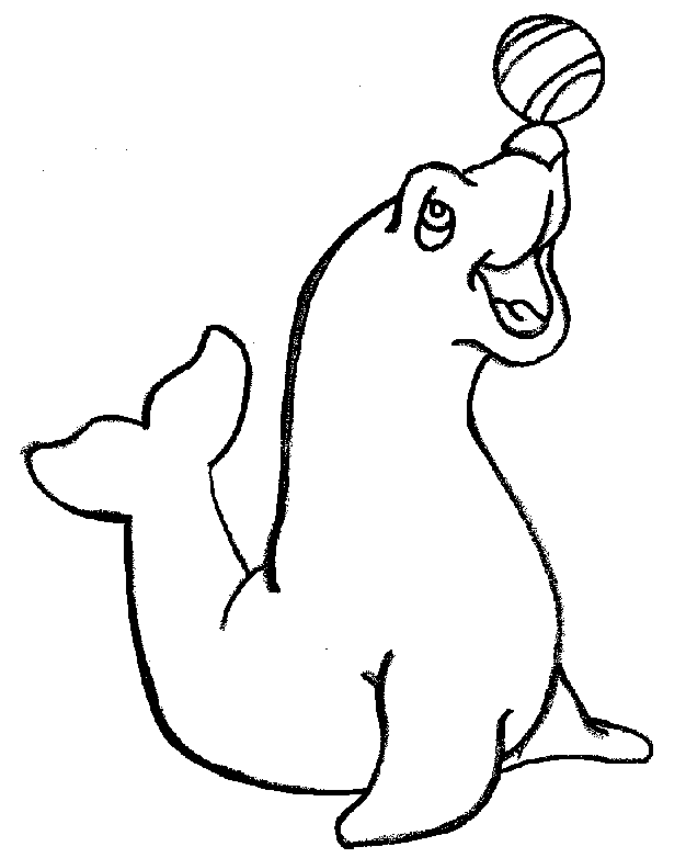 Seals coloring pages