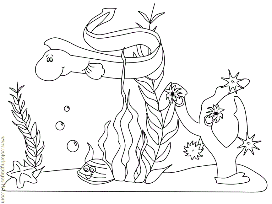 pages ocean scene animals others printable coloring page