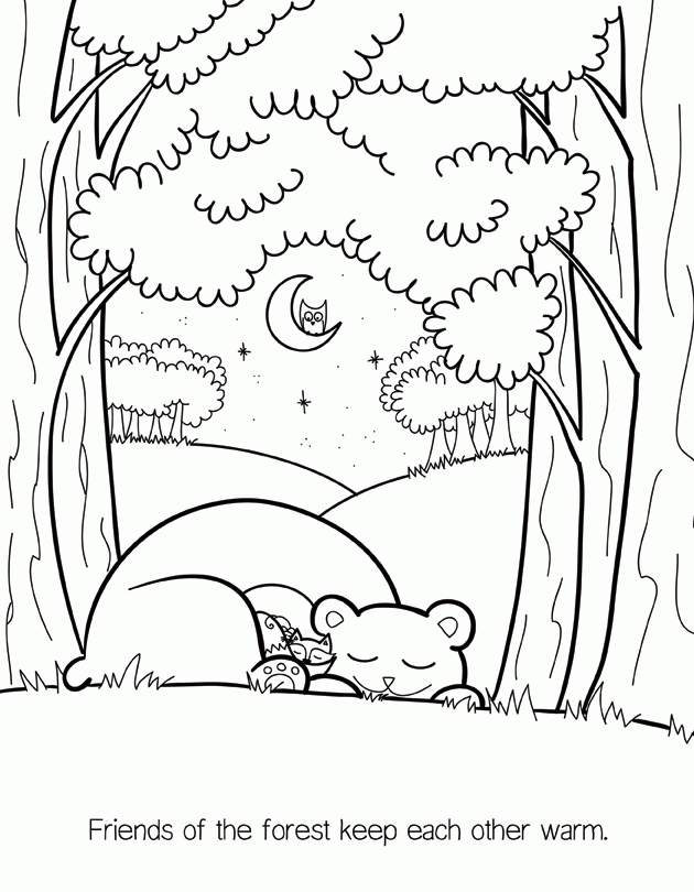 forest bear Colouring Pages