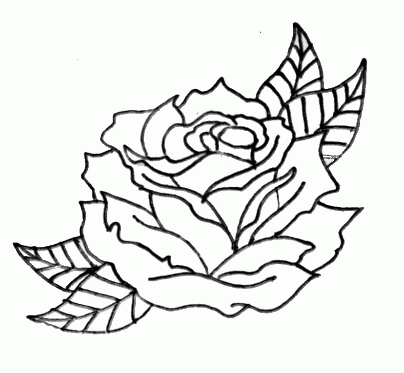 Two Roses Tattoo Outline - Tattoos Design Ideas