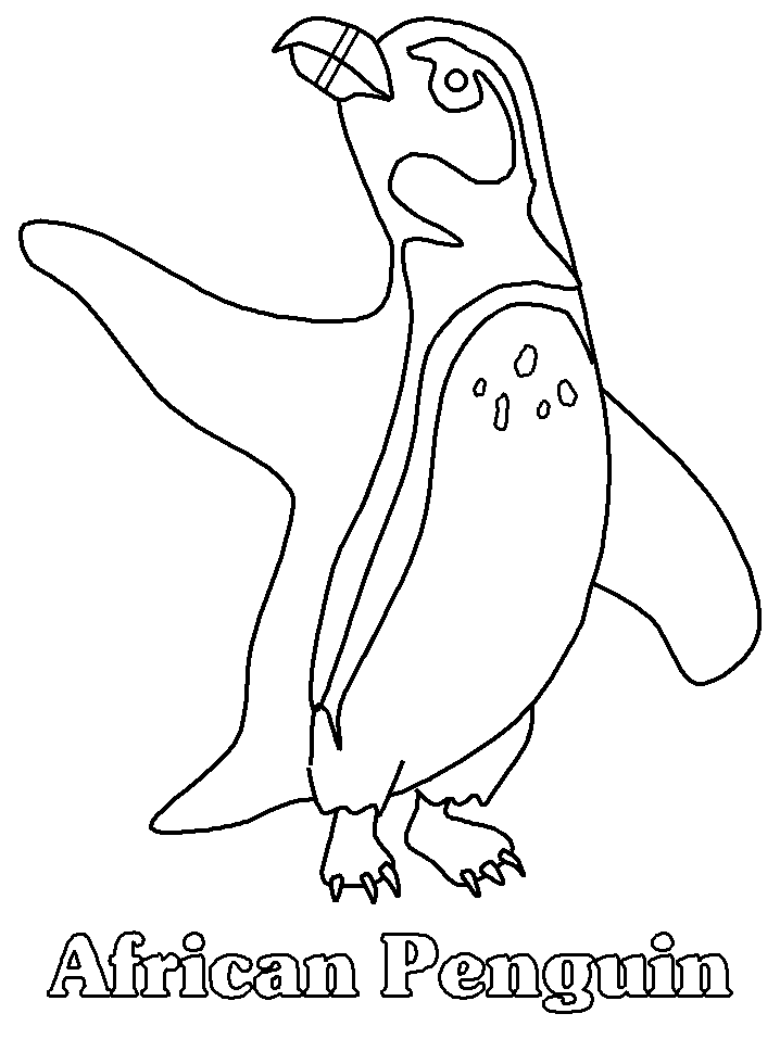 Printable Penguins 12 Animals Coloring Pages - Coloringpagebook.com