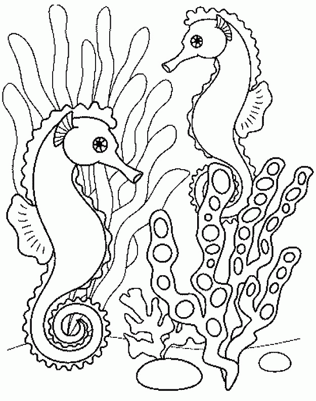Animals Seahorses print coloring pages. 30