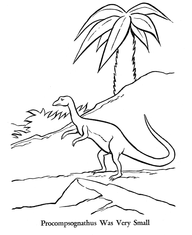 Dinosaur Coloring Pages | Printable Procompsognathus coloring page 
