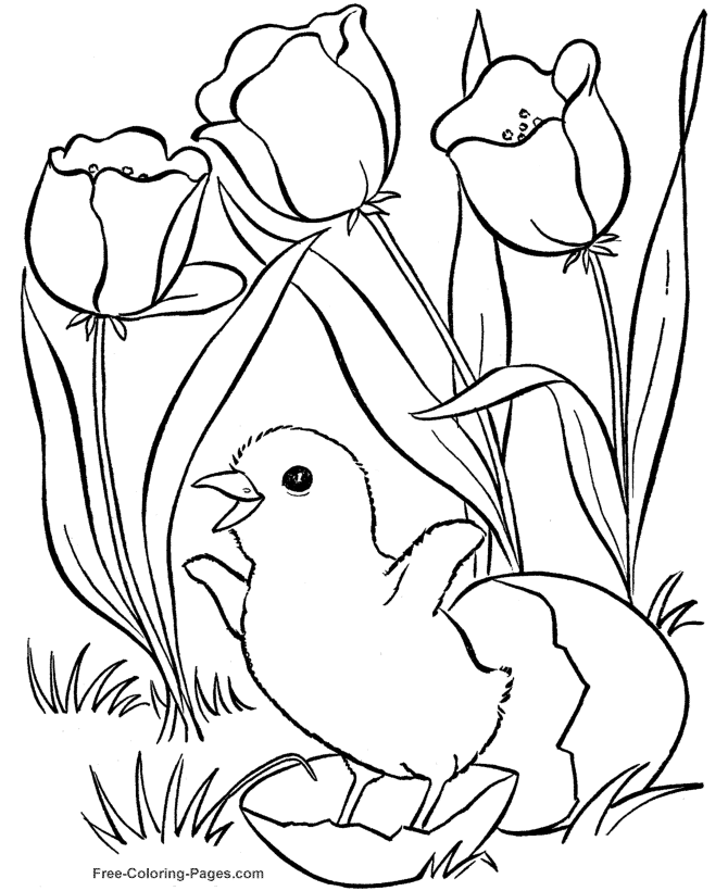 Spring Colouring Pages For Kids | Free coloring pages