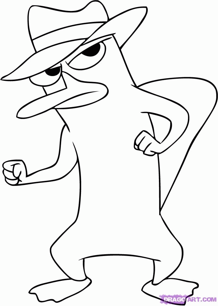 Featured image of post How To Draw Perry The Platypus Easy Step By Step How to draw a cartoon platypus step by step drawing tutorial