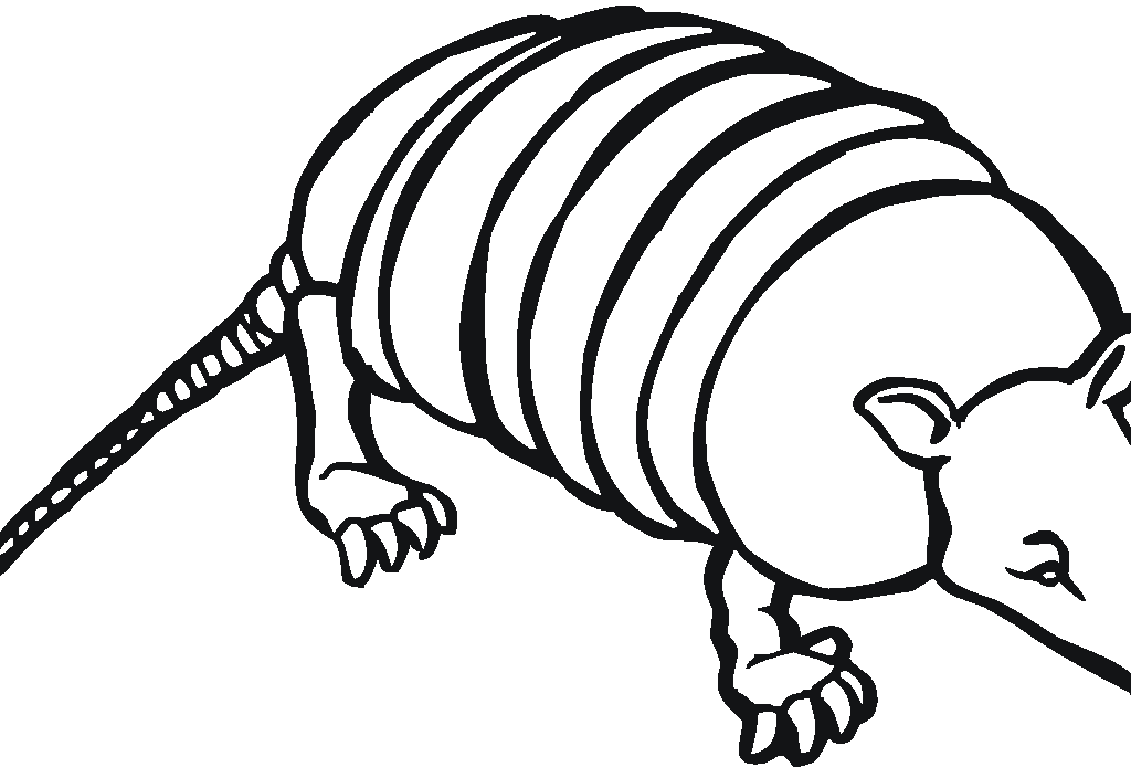 Armadillo Coloring Sheet Colouring Pages - Coloring Home
