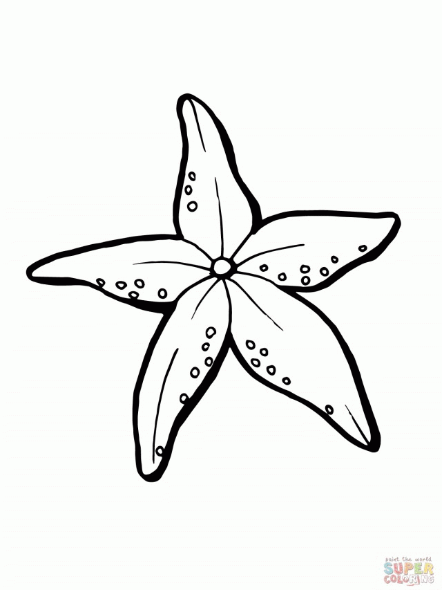 Realistic Starfish Coloring Online Super Coloring 166732 Starfish 