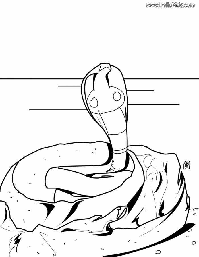 Snake Coloring Pages Realistic | 99coloring.com