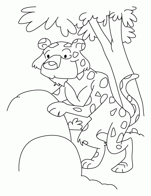 Leopard ready for shooting coloring pages | Download Free Leopard 