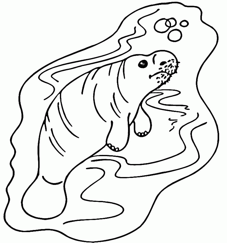 Manatee Coloring Page - Coloring Home