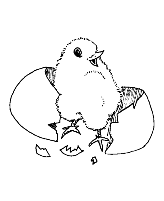 Chicken Baby Animals Picture Coloring Page | HelloColoring.com 