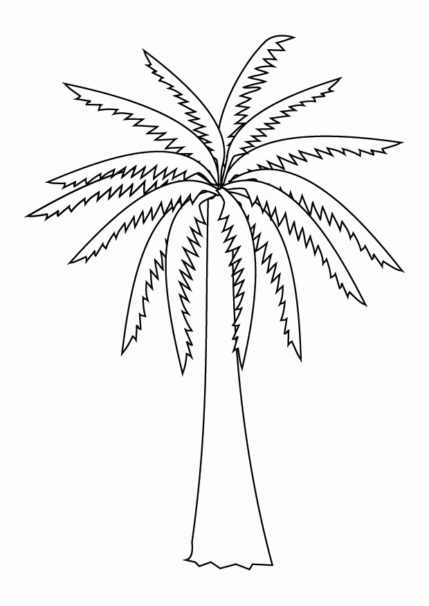 Palm Tree Coloring Page Images & Pictures - Becuo